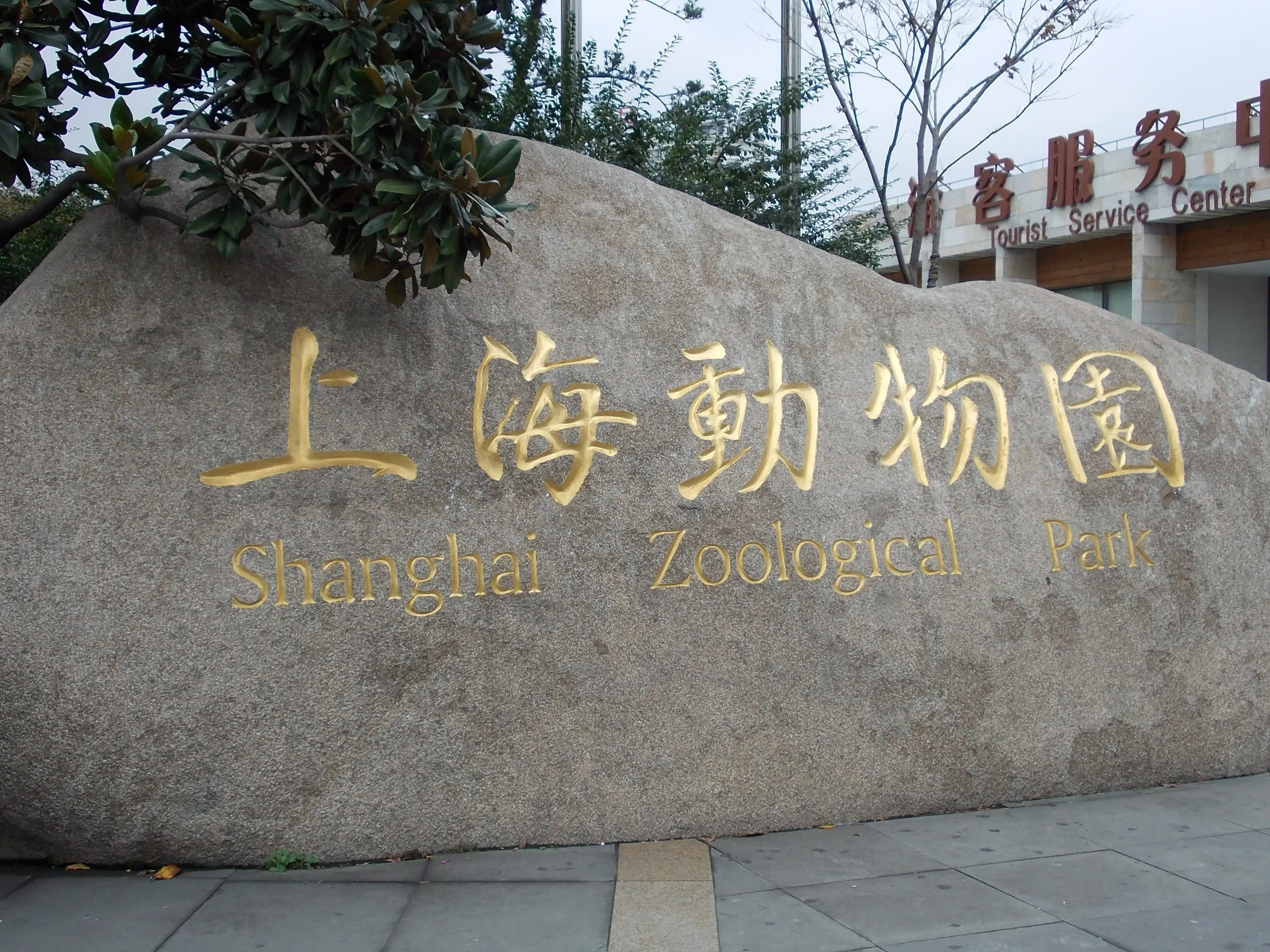2011 Nov - Shanghai Zoological Park - Shanghai